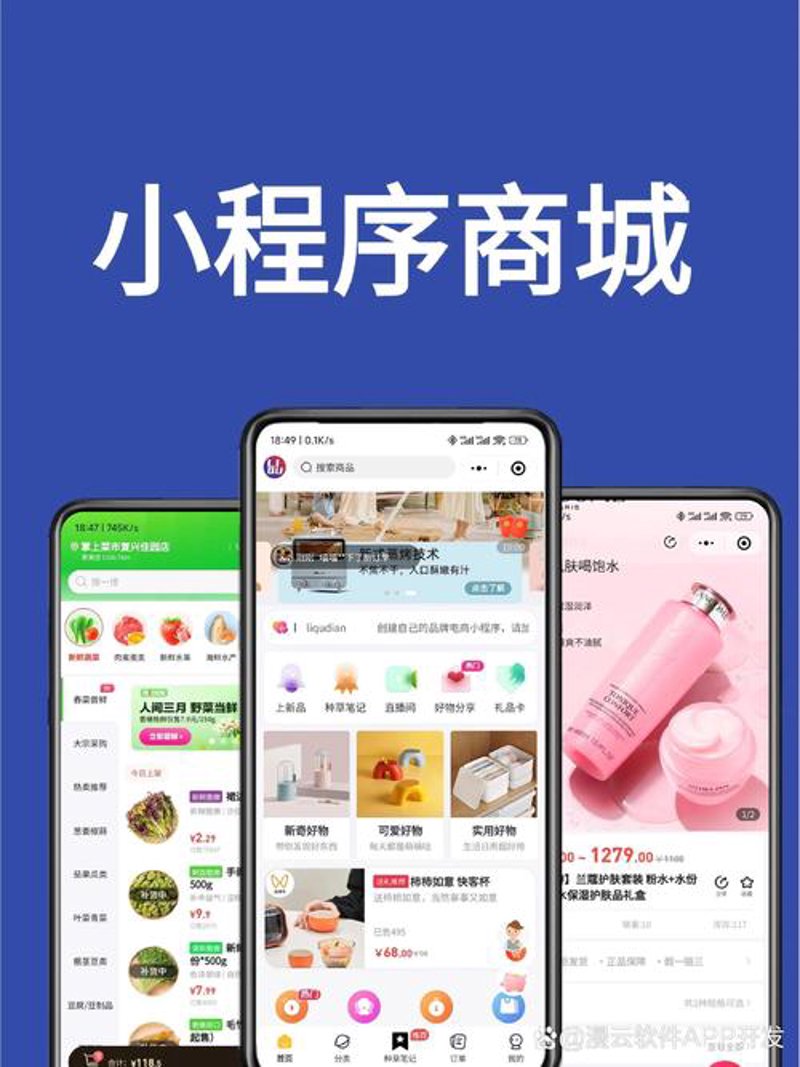 小程序开发引领新时代电商变革